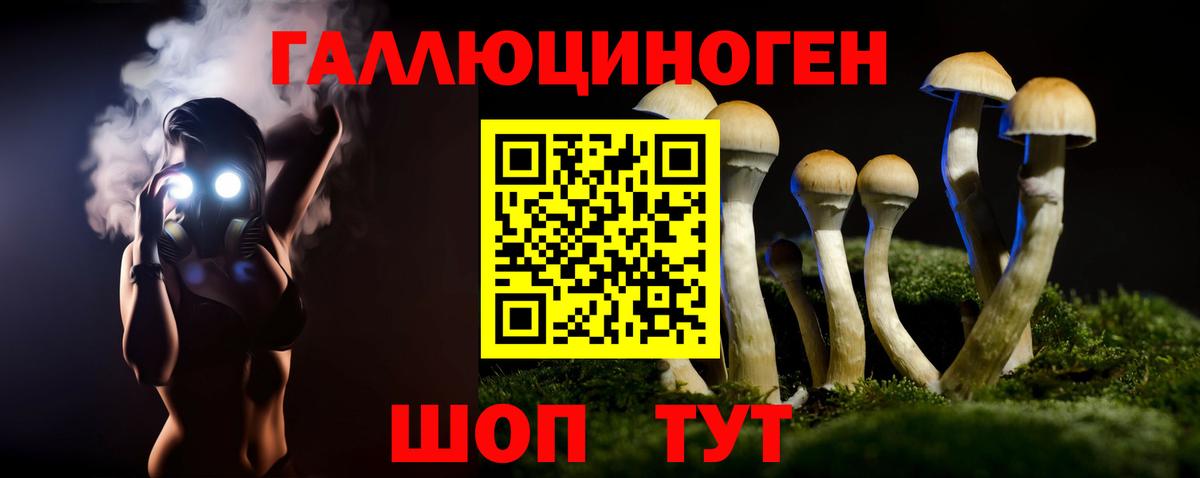 Галлюциногенные грибы Magic Shrooms  Псилоцибиновые грибы прущие грибы  Вход с VPN  Славгород 