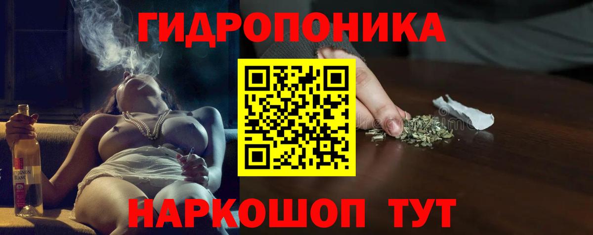 Каннабис OG Kush Славгород